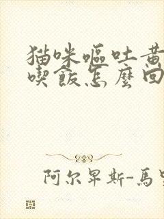 猫咪呕吐黄水不吃饭怎么回事