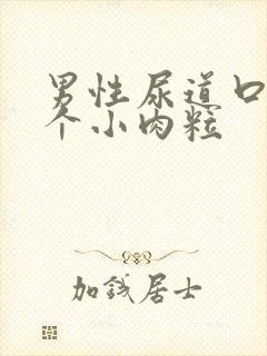 男性尿道口内有个小肉粒