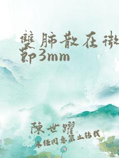 双肺散在微小结节3mm