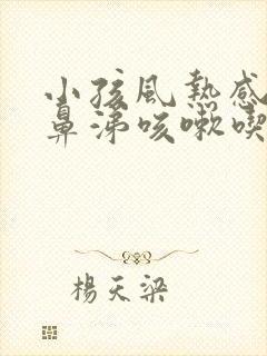 小孩风热感冒流鼻涕咳嗽吃什么药