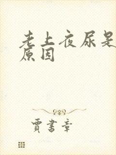 老上夜尿是什么原因