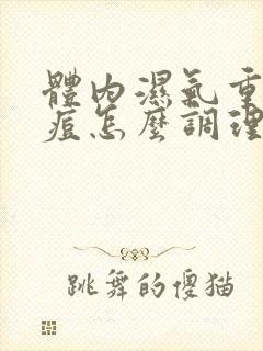 体内湿气重长痘痘怎么调理