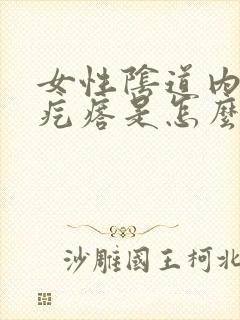 女性阴道内侧长疙瘩是怎么回事