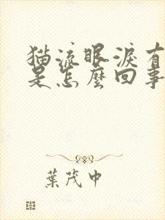 猫流眼泪有眼屎是怎么回事