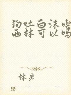 狗吐白沫吃阿莫西林可以吗