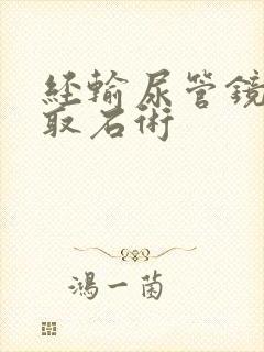 经输尿管镜碎石取石术