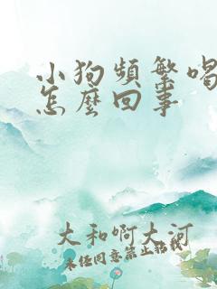 小狗频繁喝水是怎么回事