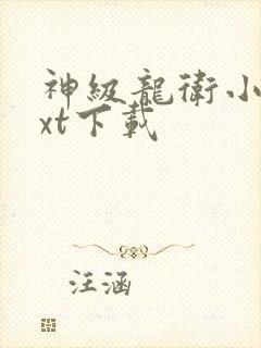 神级龙卫小说txt下载