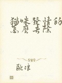 猫咪发情的尿味怎么去除