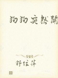 狗狗突然关节疼