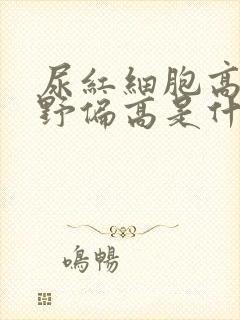 尿红细胞高倍视野偏高是什么意思