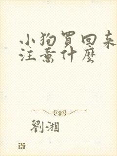 小狗买回来需要注意什么