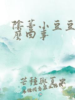 阴蒂小豆豆痒怎么回事