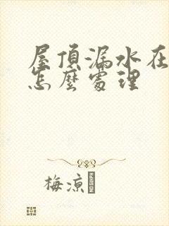 屋顶漏水在屋内怎么处理