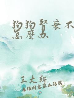 狗狗肾衰不排尿怎么办