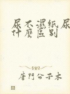 尿不湿纸尿裤有什么区别