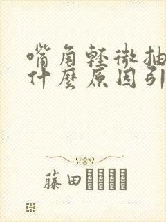 嘴角轻微抽搐是什么原因引起的