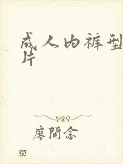 成人内裤型纸尿片