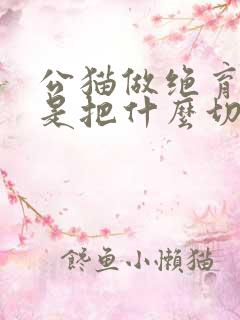 公猫做绝育手术是把什么切除