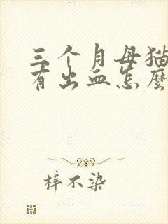 三个月母猫小便有出血怎么办