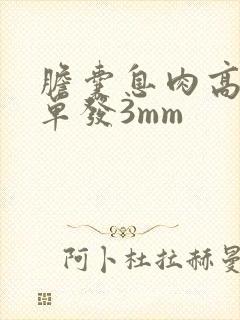 胆囊息肉高回声单发3mm