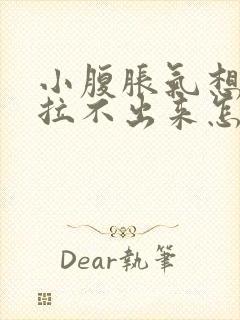 小腹胀气想拉屎拉不出来怎么回事