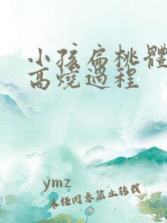 小孩扁桃体化脓高烧过程