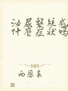 泌尿系统感染有什么症状吗