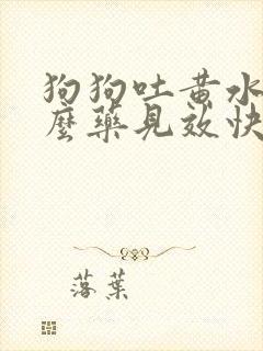 狗狗吐黄水吃什么药见效快