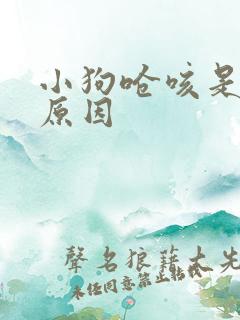 小狗呛咳是什么原因