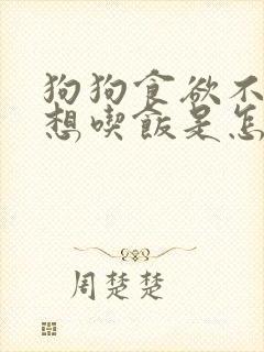 狗狗食欲不振不想吃饭是怎么回事