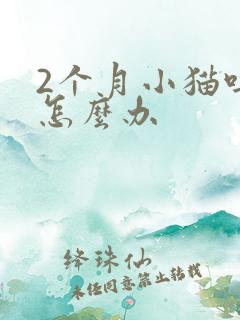 2个月小猫吐了怎么办