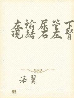 左输尿管下段出现结石左肾积水