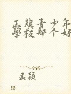 正规青少年叛逆学校哪个好