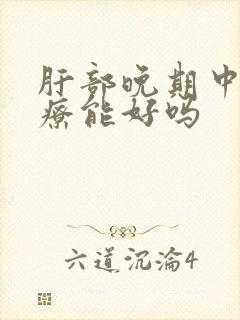 肝部晚期中医治疗能好吗