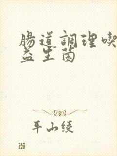 肠道调理吃什么益生菌