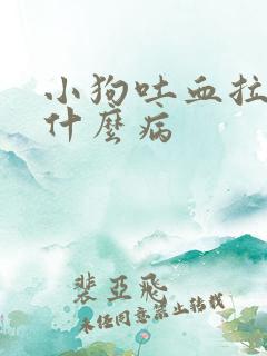 小狗吐血拉血是什么病