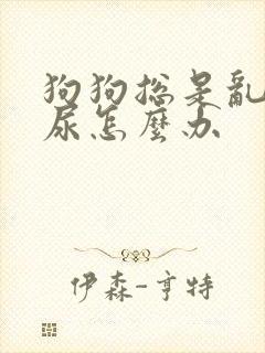 狗狗总是乱拉乱尿怎么办