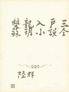 双龙入户三人行苏玥小说全文阅读