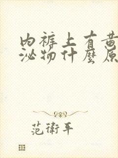 内裤上有黄色分泌物什么原因