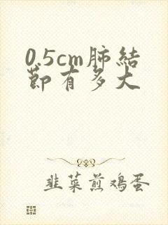 0.5cm肺结节有多大