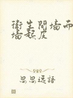 卫生间墙面渗水墙起皮