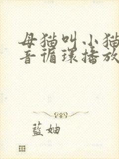 母猫叫小猫的声音循环播放