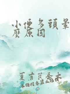 小便多头晕是什么原因