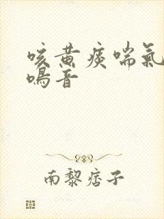 咳黄痰喘气有痰鸣音