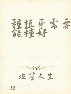 种植牙需要多久能种好