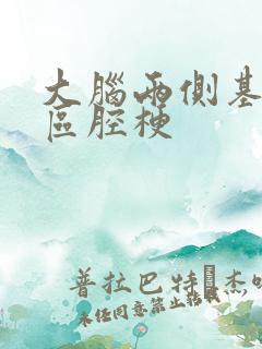 大脑两侧基底节区腔梗