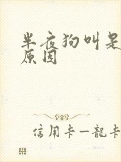 半夜狗叫是什么原因