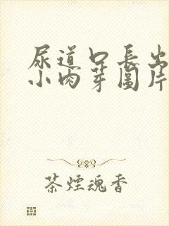 尿道口长出两排小肉芽图片