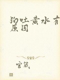 狗吐黄水有泡沫原因